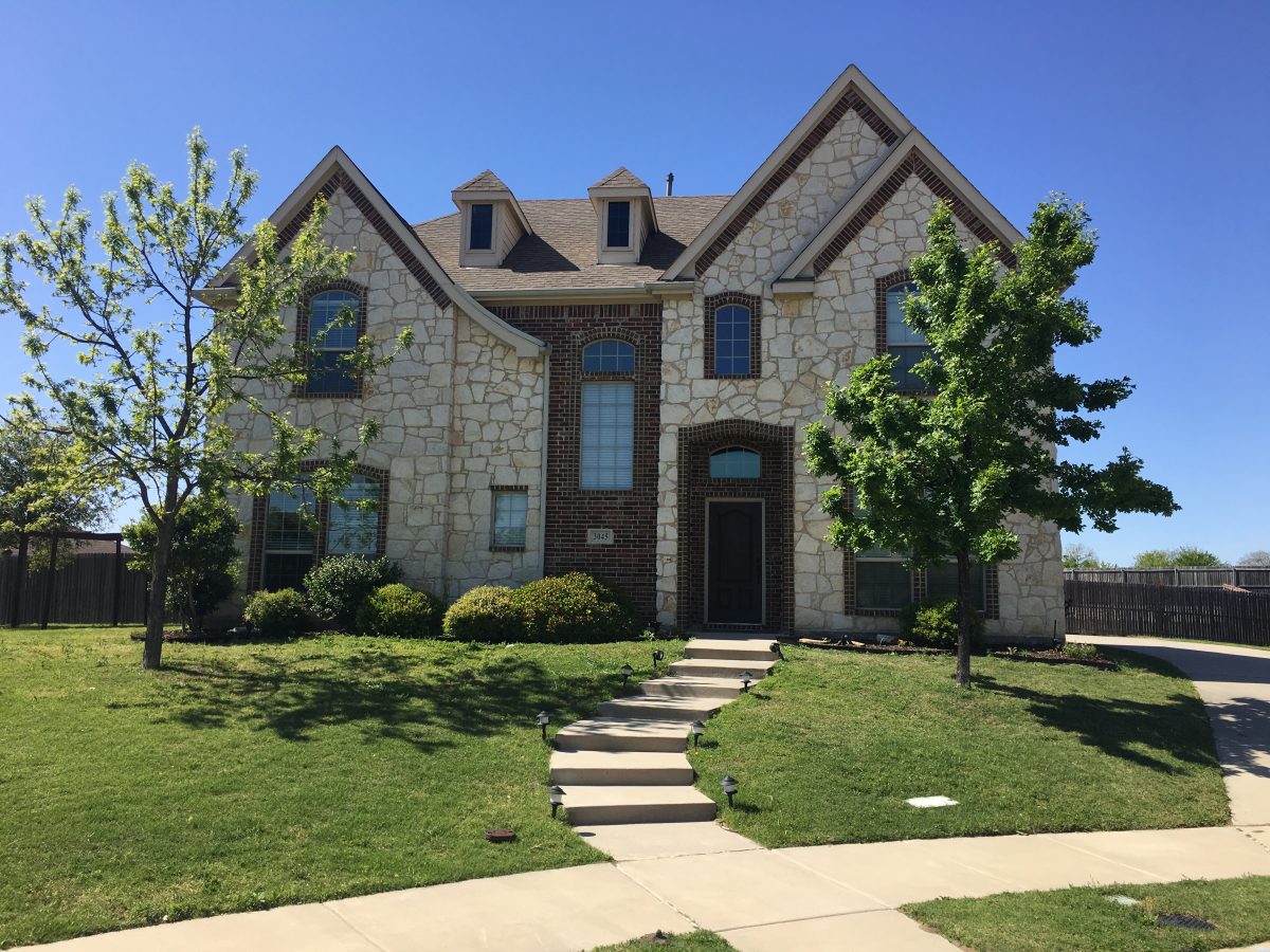 Safe Earth Pest Control Services in Rockwall & Rowlett, Texas